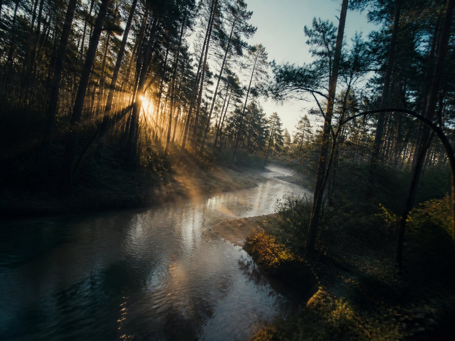 Cinematic low-altitude drone view over a creek through a pine forest at sunrise